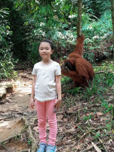 orangutan full day tour
